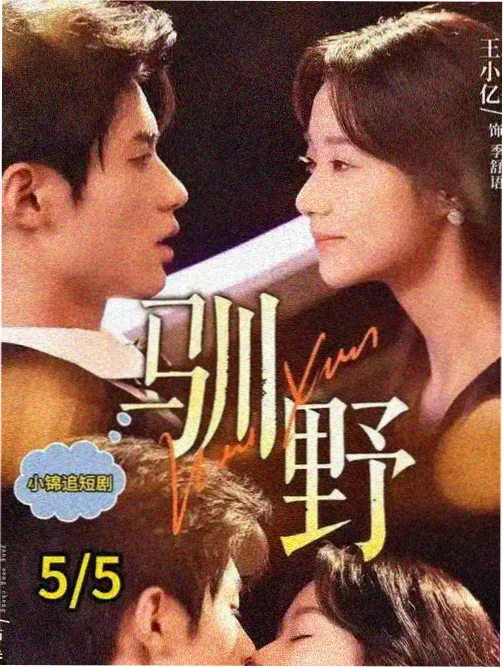 首尔午夜食堂 韩剧电视剧大全免费封面